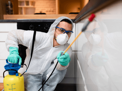 About Peoria Pest Control - 24 hour pest control experts in Peoria