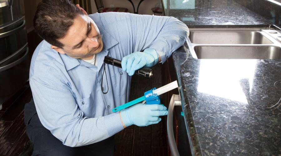 Professional 24 hour pest control services in Peoria